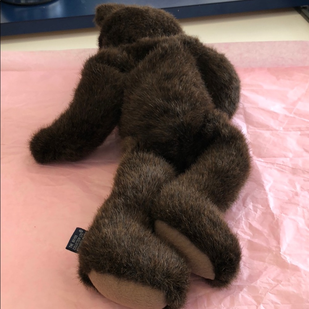 Boyd’s bear 🐻 - Picture 7 of 8